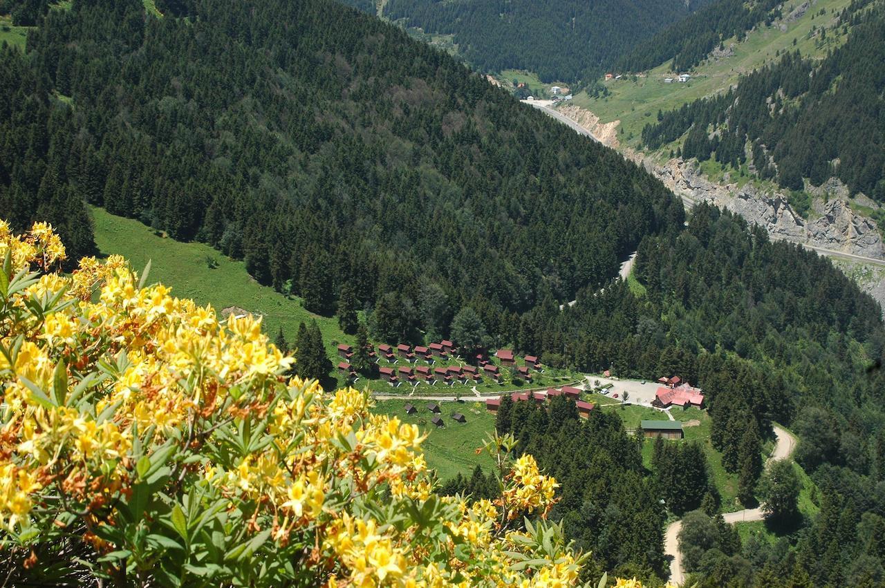 Zitas Zigana Yayla Tatil Koyu Macka Exterior foto
