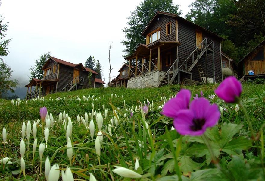 Zitas Zigana Yayla Tatil Koyu Macka Exterior foto