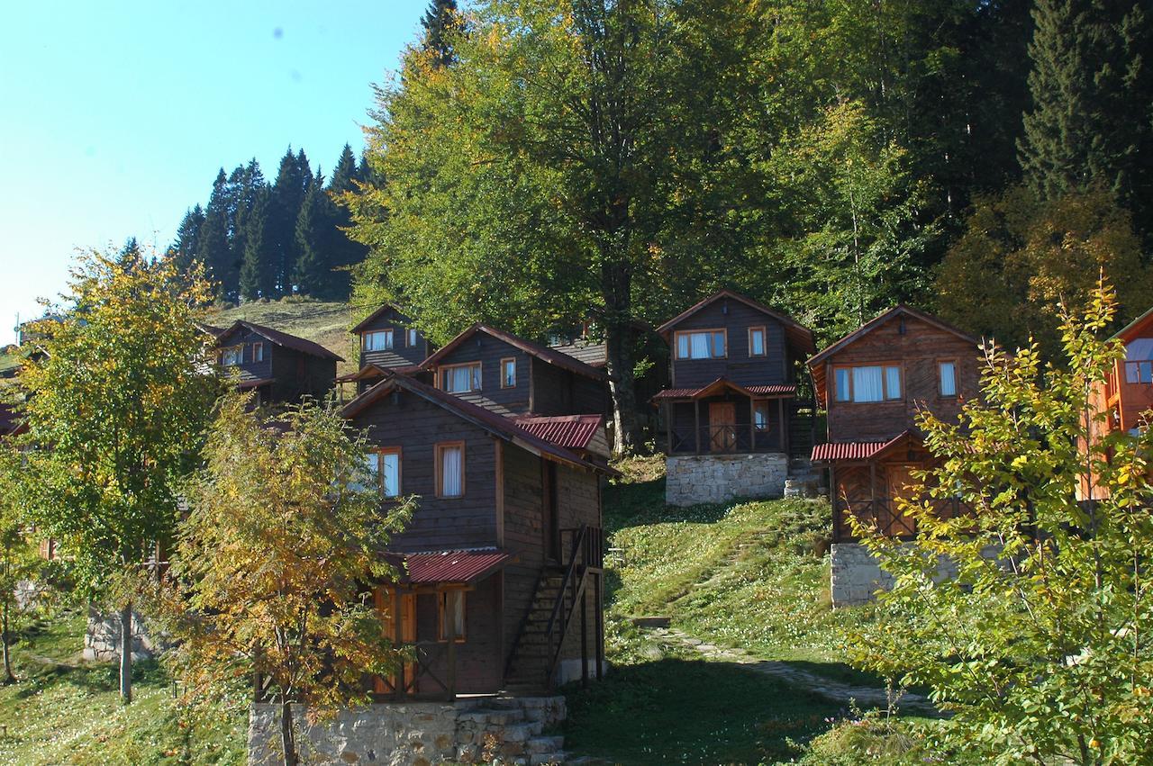 Zitas Zigana Yayla Tatil Koyu Macka Exterior foto