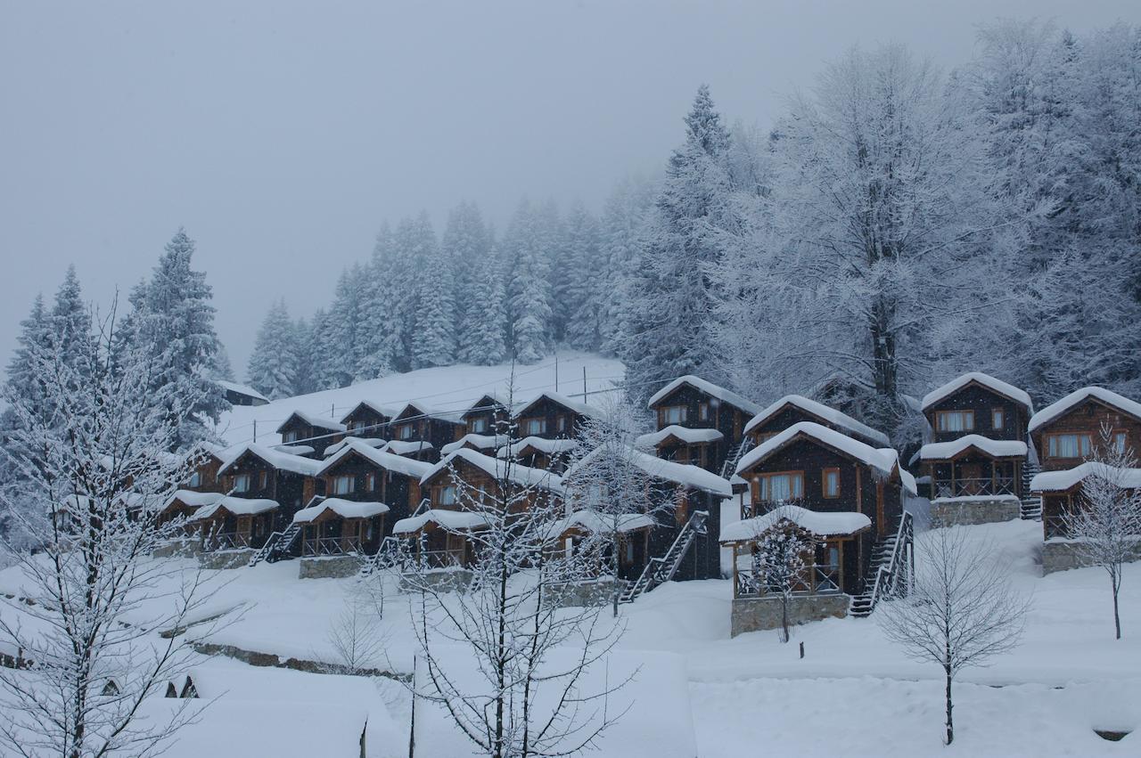 Zitas Zigana Yayla Tatil Koyu Macka Exterior foto