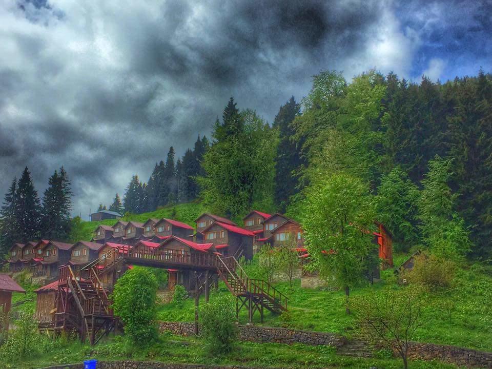 Zitas Zigana Yayla Tatil Koyu Macka Exterior foto