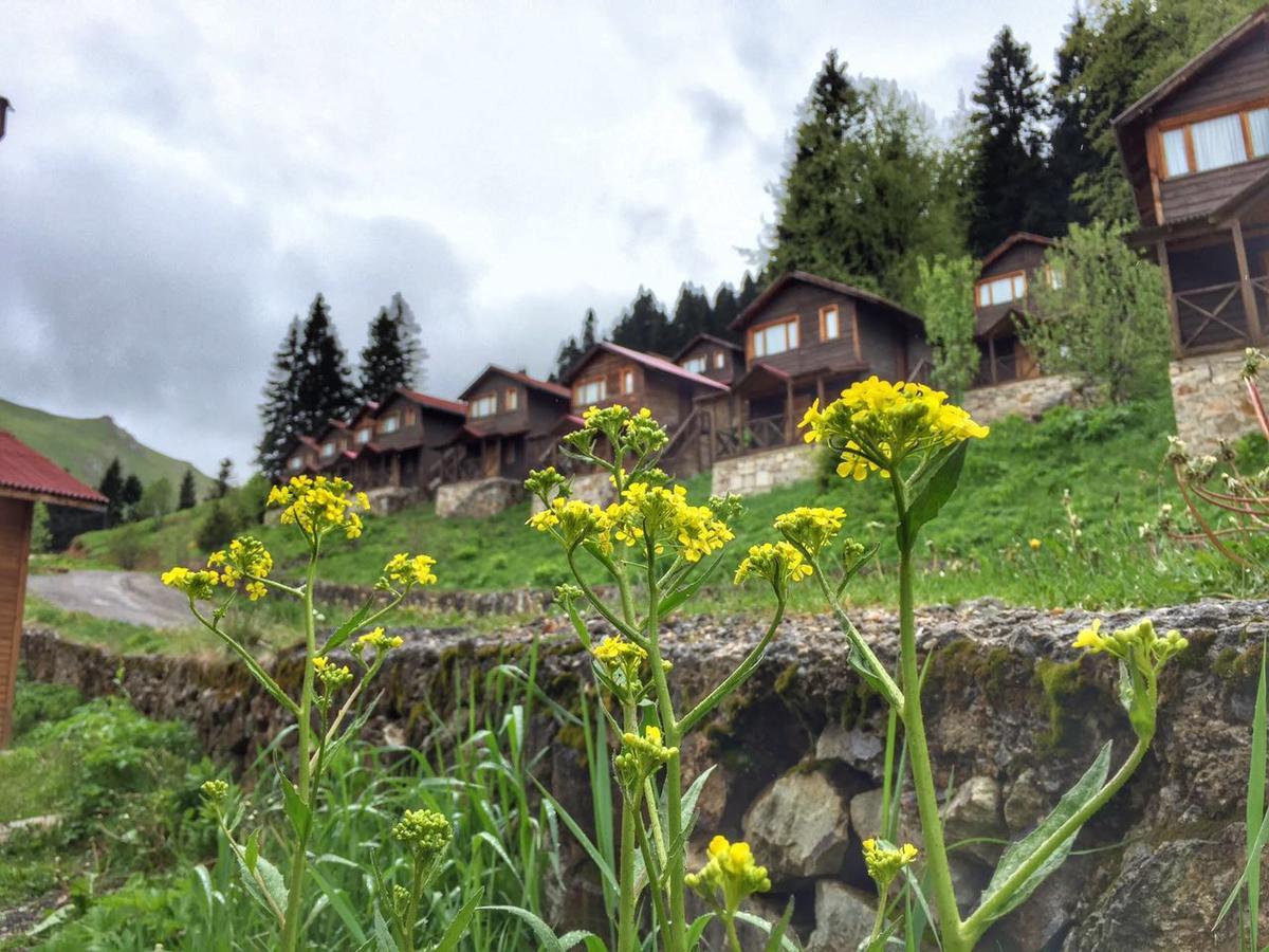 Zitas Zigana Yayla Tatil Koyu Macka Exterior foto