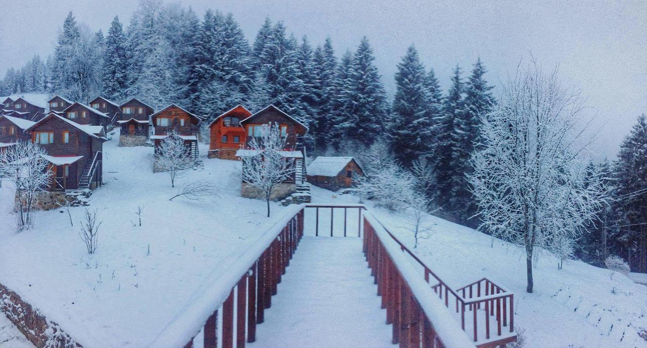 Zitas Zigana Yayla Tatil Koyu Macka Exterior foto